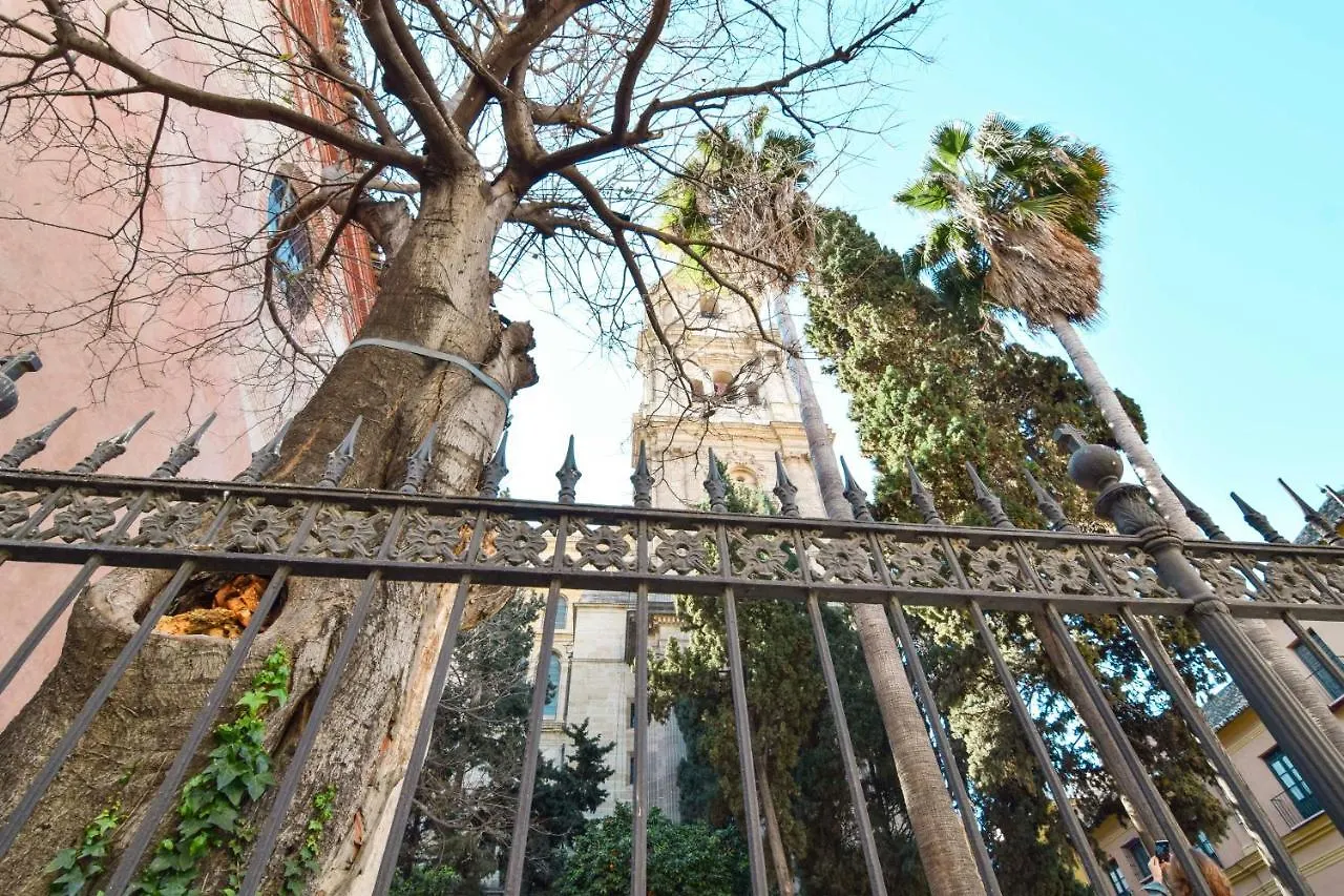Apartment Suite Premium - Cathedral Of Malaga