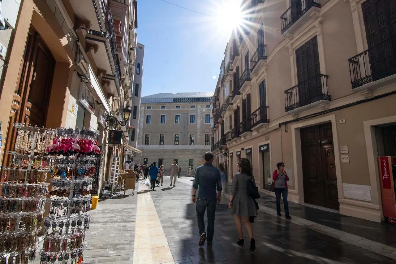 Suite Premium - Cathedral Of Malaga